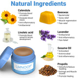 LMNOOP® Wound Healing Ointment, for Chronic Wound, Bedsore, Skin Ulcers, Cellulitis, Burns, Sores, Surgical Wound, Infected Wound, Cuts, Blisters, Pain Relief, Anti-Infection, Anti-inflammatory Cream